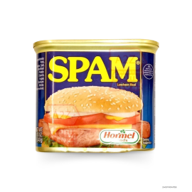 Spam Luncheon Meat | 340g x 1