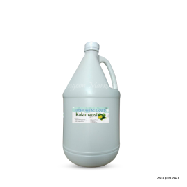 2042P Pingcon Dishwashing Liquid Cleaner Lime Gallon x1