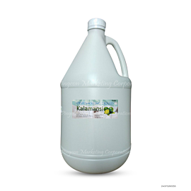 Dishwashing Liquid Cleaner Lime Gallon x1