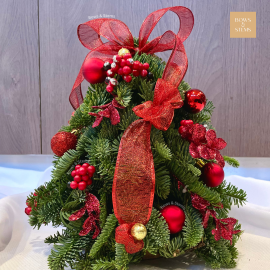 Fresh Nobilis Pine Christmas Tree