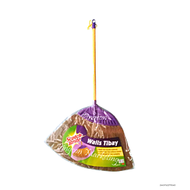 Scotch Brite Broom Walis Tibay x1