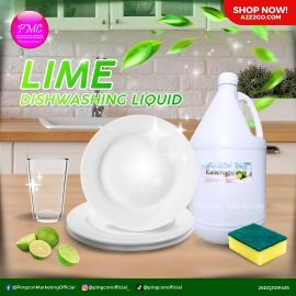2042C Pingcon Dishwashing Liquid Cleaner Lime Gallon x4