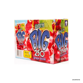 Zest-O BIG 250 Grape  | 250ml x 10