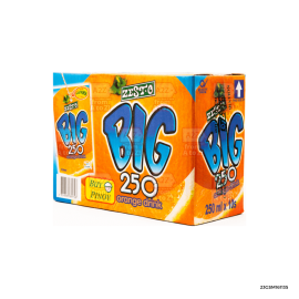 Zest-O BIG 250 Orange | 250ml x 10